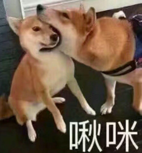 啾咪是什么意思?啾咪的出处是哪里?