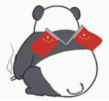 天才小熊猫是什么意思?天才小熊猫的出处是哪里?