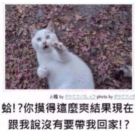 网络用语bp是什么意思?bp出自哪里?