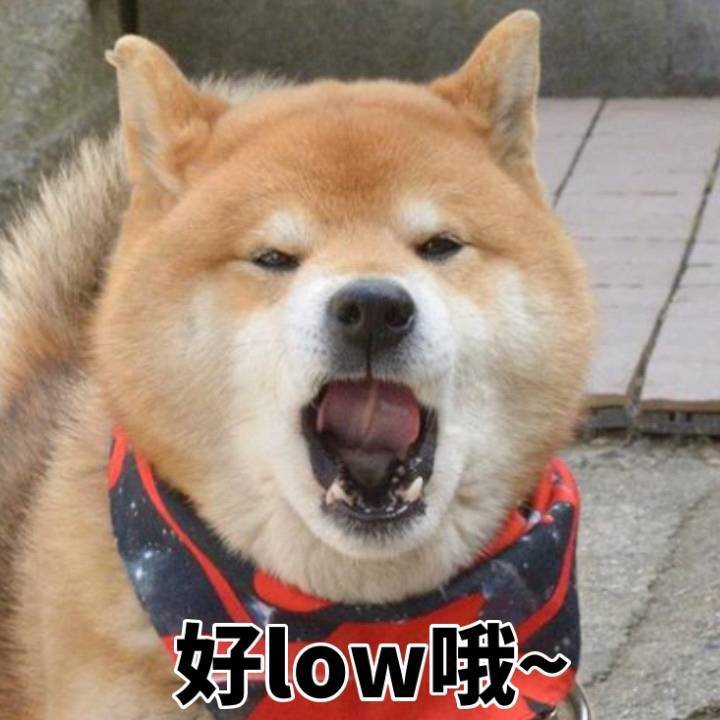 网络用语low是什么意思?low出自哪里?