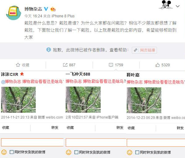 网络用语戴胜是什么意思?戴胜出自哪里?