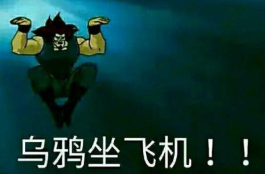 网络用语乌鸦坐飞机是什么意思?乌鸦坐飞机出自哪里?