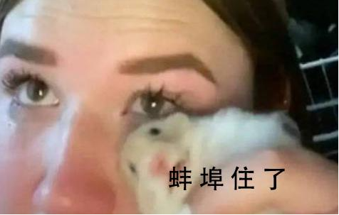 网络用语蚌埠住了什么梗?蚌埠住了出自哪里?