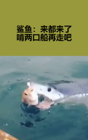 网络用语来都来了是什么意思?来都来了出自哪里?