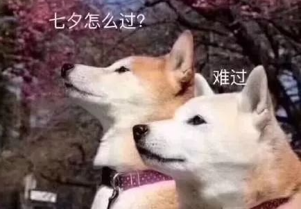 网络用语bachelor是什么意思?bachelor出自哪里?