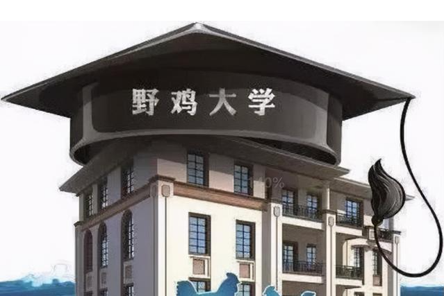网络用语野鸡大学是什么意思?野鸡大学出自哪里?