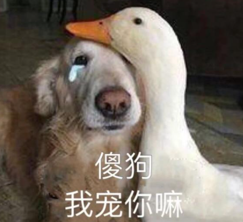 网络用语s‌​​​​​‌​​​​​​‌​‌​‌​g是什么意思?s‌​​​​​‌​​​​​​‌​‌​‌​g出自哪里?