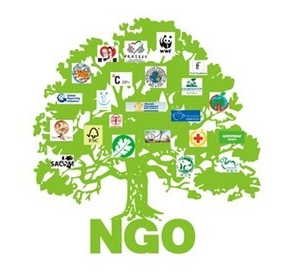 网络用语ngo组织是什么意思?ngo组织出自哪里?
