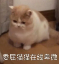 网络用语卑微的意思?在线卑微出自哪里?