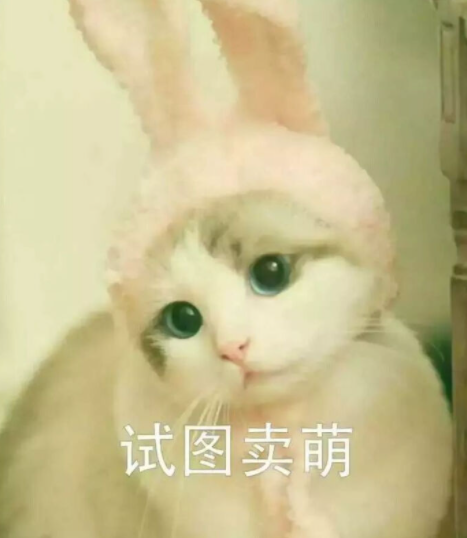 网络用语卖萌是什么意思?卖萌出自哪里?