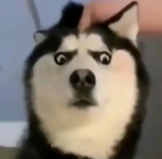 网络用语睿智是什么意思?睿智出自哪里?