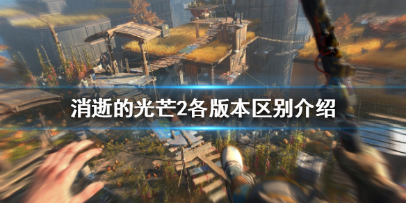 消逝的光芒2该买哪个版本 消逝的光芒2新手攻略心得