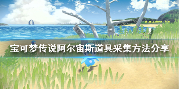 宝可梦传说阿尔宙斯道具怎么采集 宝可梦传说阿尔宙斯攻略方法介绍