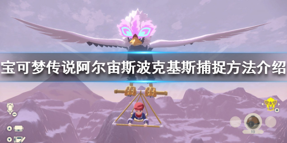 宝可梦传说阿尔宙斯波克基斯在哪抓 宝可梦传说阿尔宙斯常见打法攻略