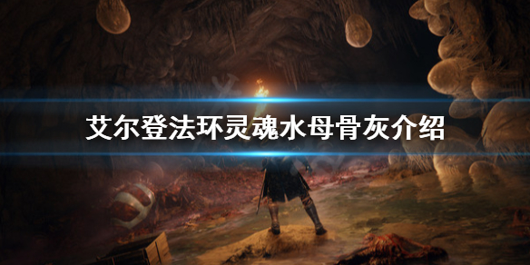 艾尔登法环灵魂水母是什么 艾尔登法环新手入门技巧分享
