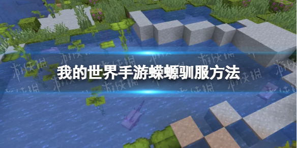 我的世界手游蝾螈怎么驯服 我的世界手游新手攻略心得