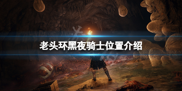 艾尔登法环黑夜骑士在哪 艾尔登法环操作心得