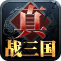 真战三国最新版