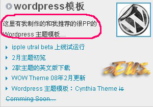 WordPress 如何调用分类描述