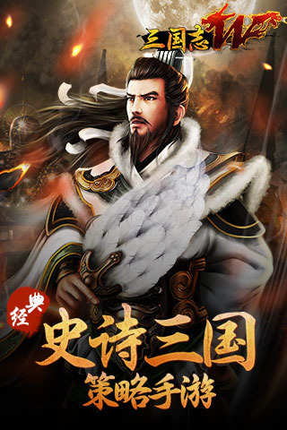 三国志w