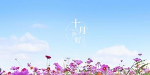 王晓宇专题